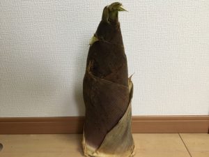 たけのこのアクに注意。おいしく食べたきゃこれだけ守れ！