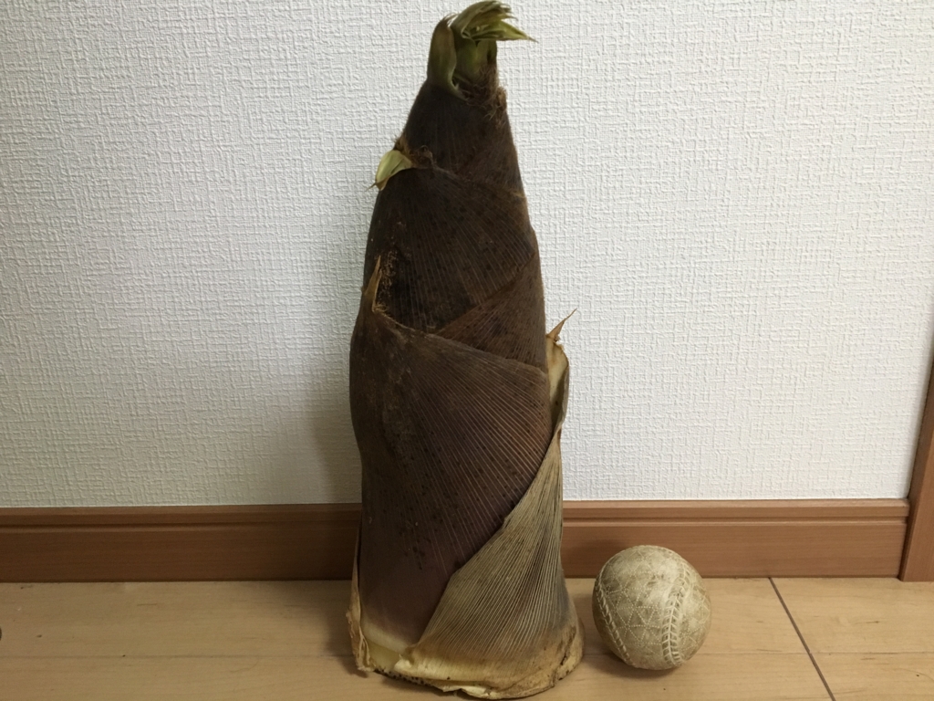 f:id:corbo93:20170527231221j:plain