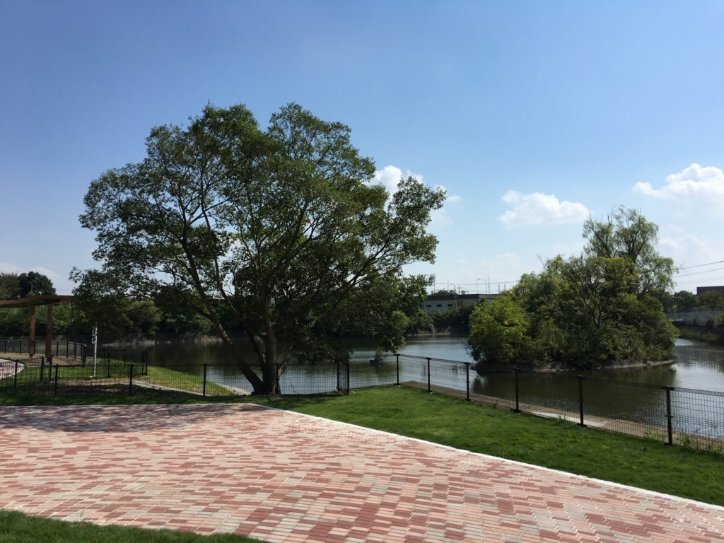 f:id:corbo93:20170603233745j:plain