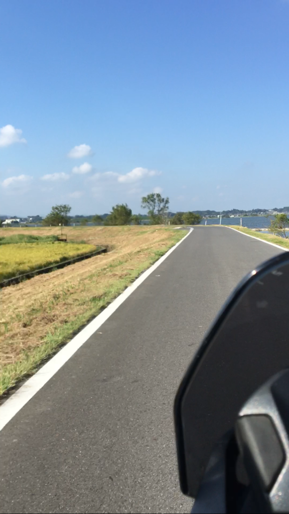 f:id:corbo93:20170604005123p:plain