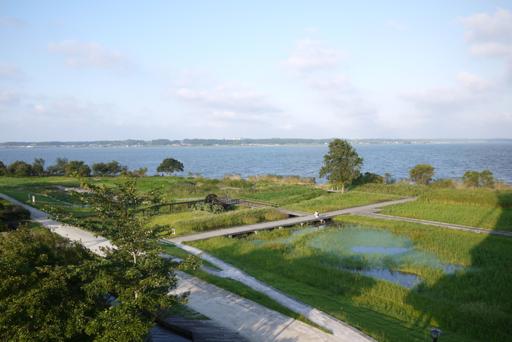 f:id:corbo93:20170604011256j:plain