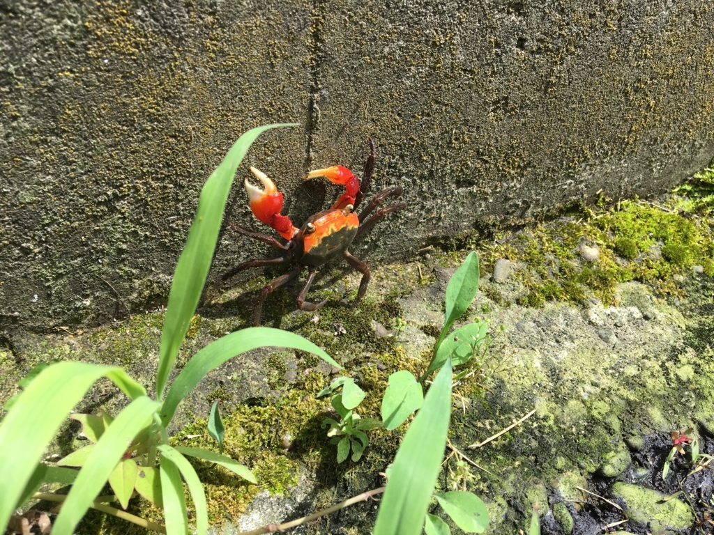 f:id:corbo93:20170702174300j:plain