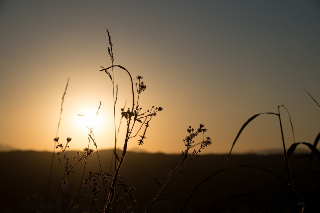 f:id:corbo93:20170826140035j:plain