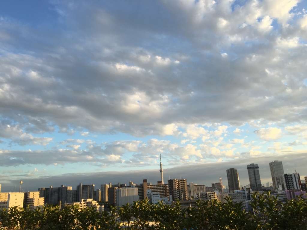 f:id:corbo93:20171118193721j:plain f:id:corbo93:20171118193721j:plain