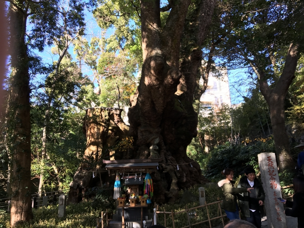 f:id:corbo93:20180104134723j:plain