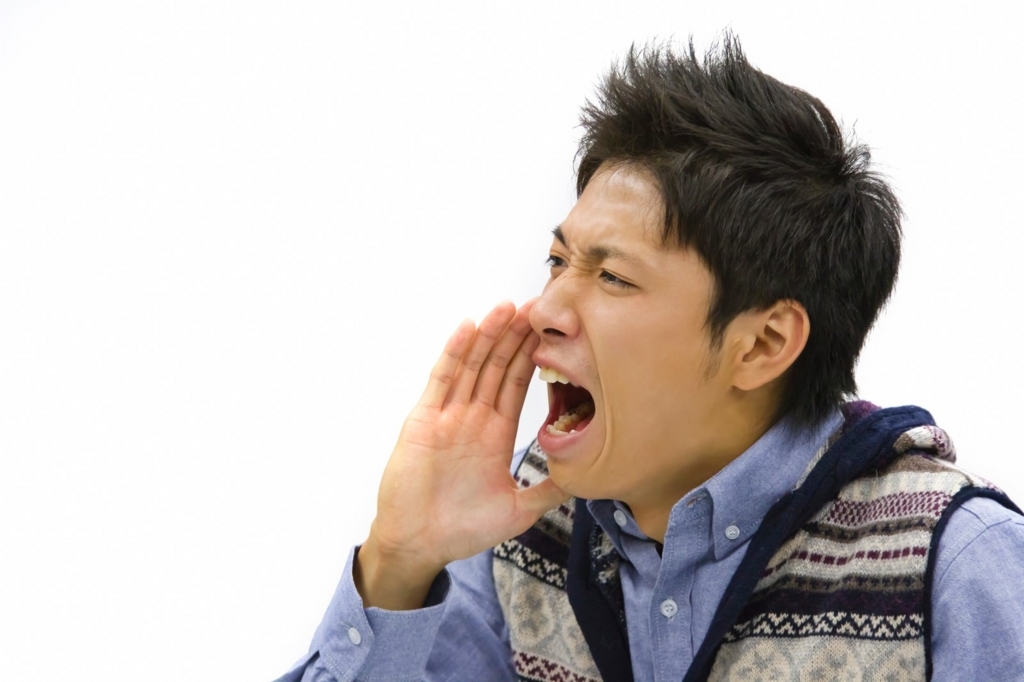 f:id:corbo93:20180106135107j:plain