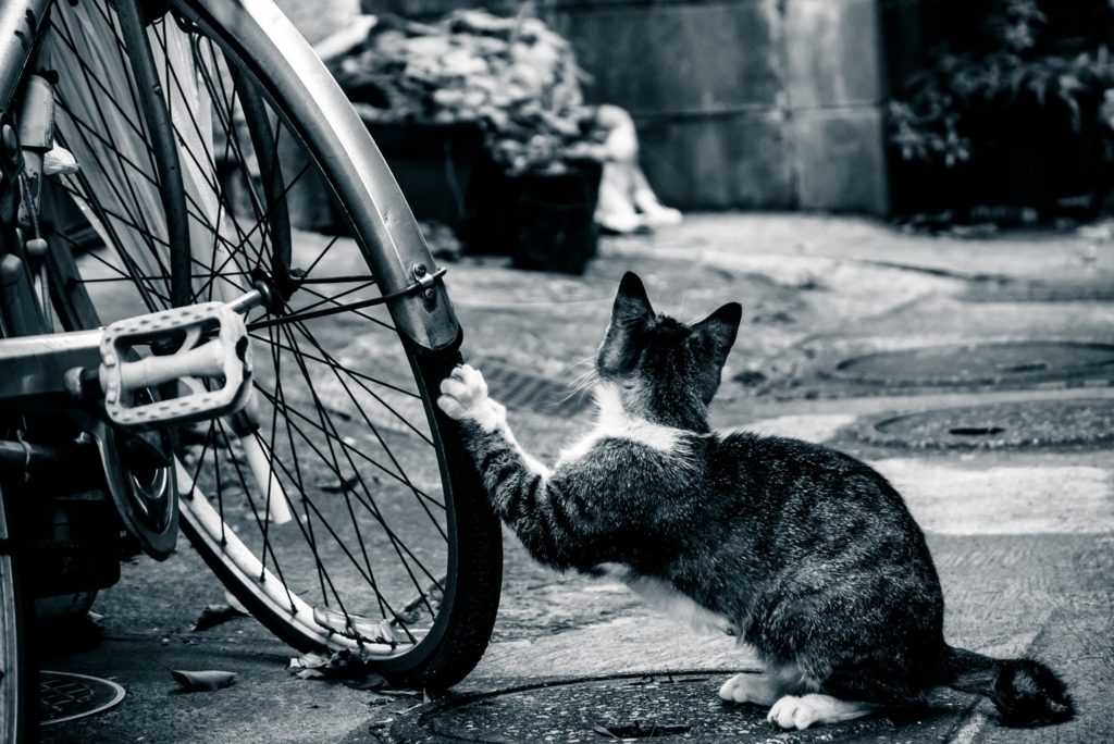 f:id:corbo93:20180114121240j:plain