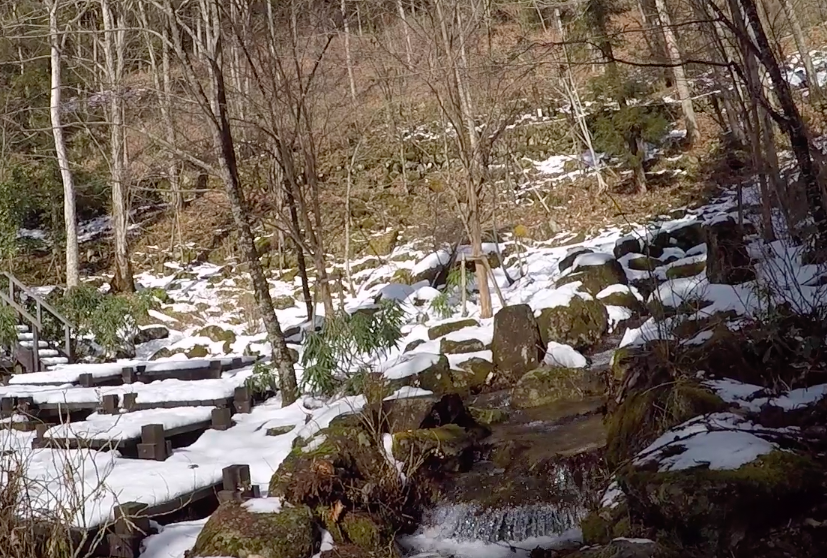 f:id:corbo93:20180217174533p:plain