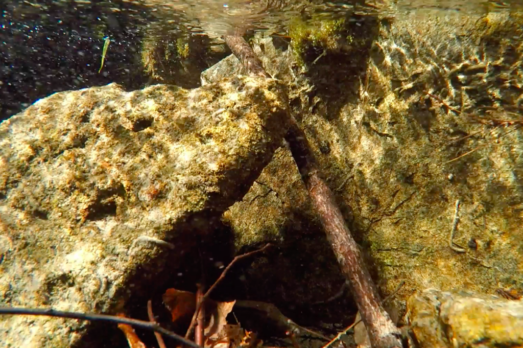 f:id:corbo93:20180217174551p:plain