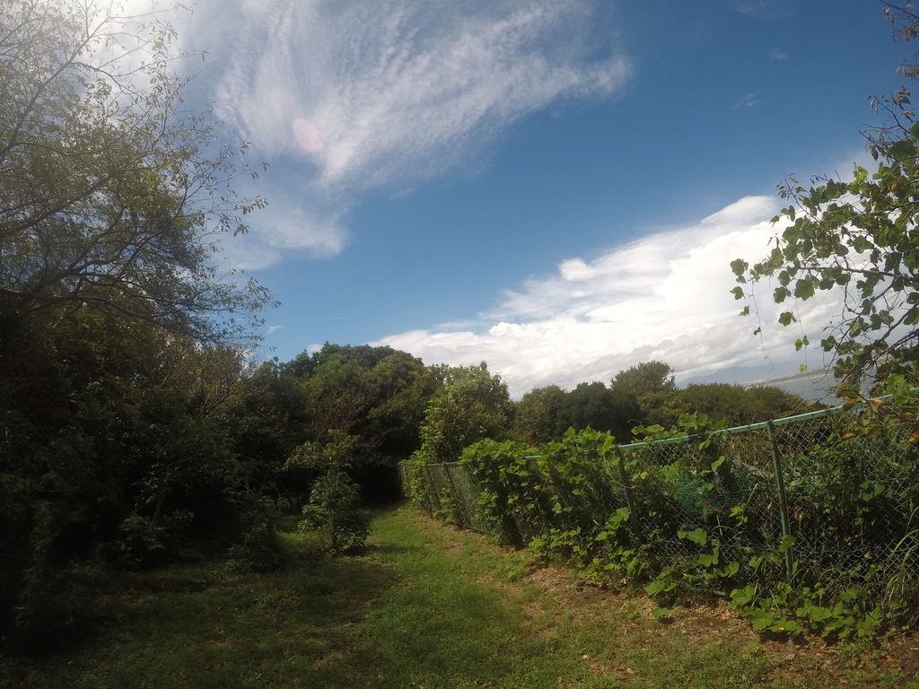 f:id:corbo93:20181015212729j:plain