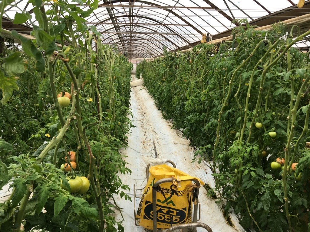 f:id:corbo93:20190221000339j:plain f:id:corbo93:20190221000339j:plain