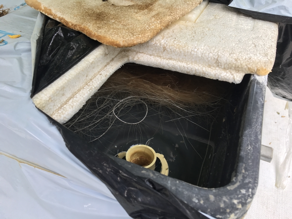 f:id:corbo93:20190221000401j:plain f:id:corbo93:20190221000401j:plain