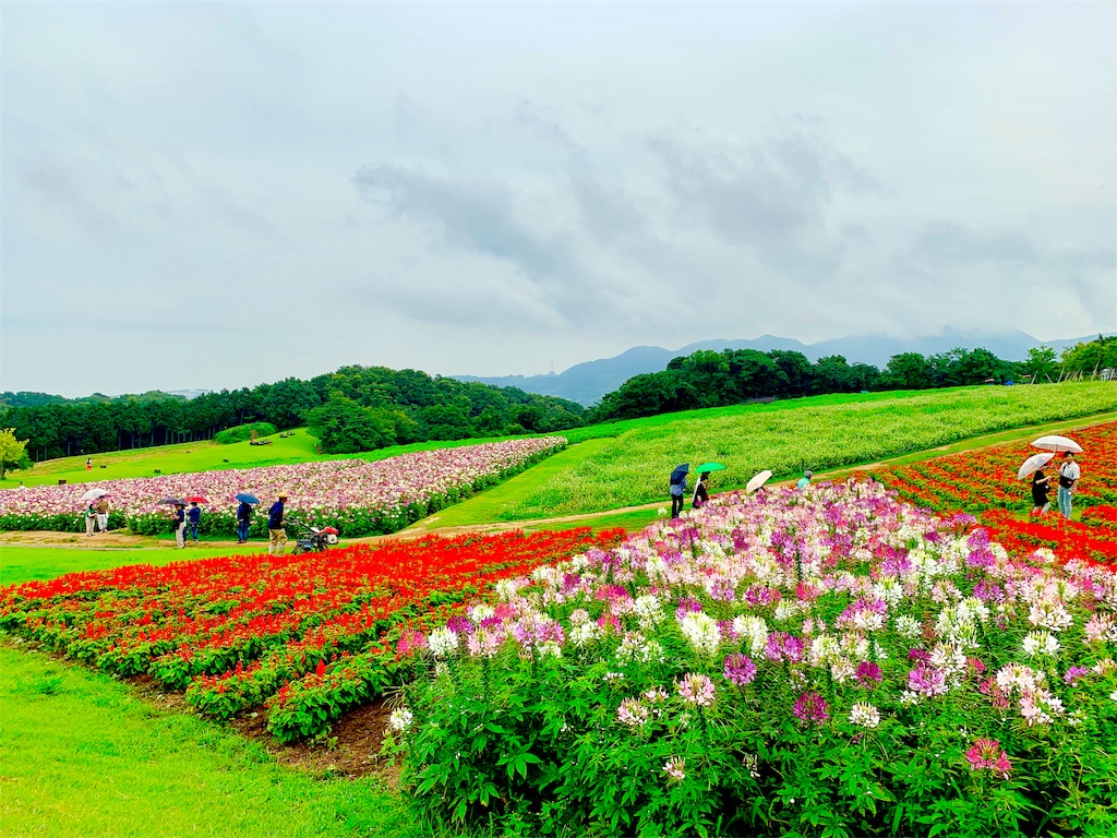 f:id:corbo93:20190720120215j:image