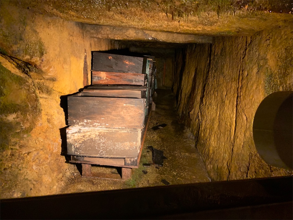 f:id:corbo93:20190720122858j:image