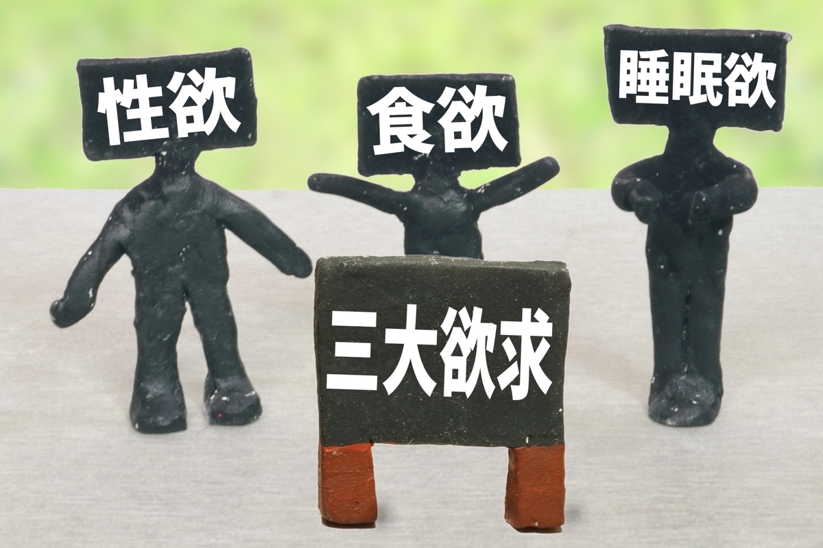 f:id:corbo93:20211209110547j:plain